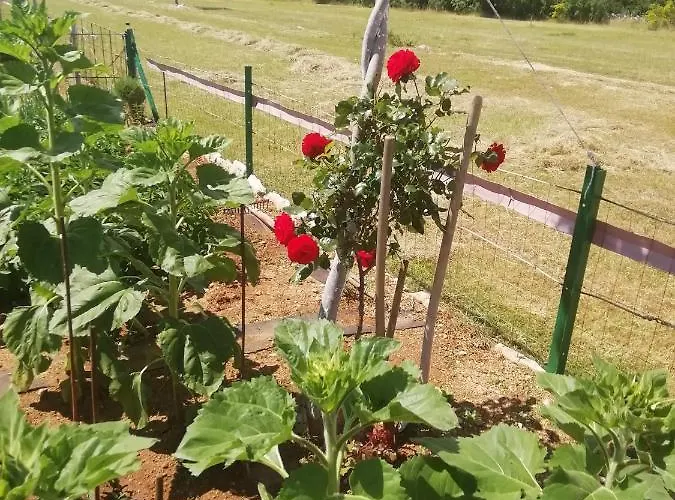 Nikini Dvori * Gradac (Sibenik-Knin)